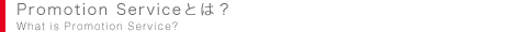 PromotionService�Ƃ́H